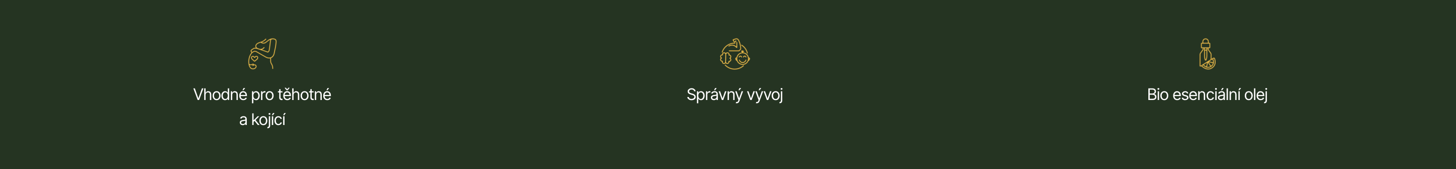 Snímek obrazovky 2025-04-02 v 16.25.31
